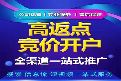 SEM主管实战：案例分析与优化策略